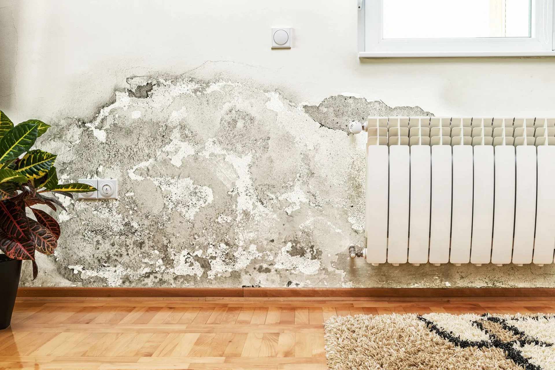 4 Qualities to Look For in a Water Damage Restoration Company