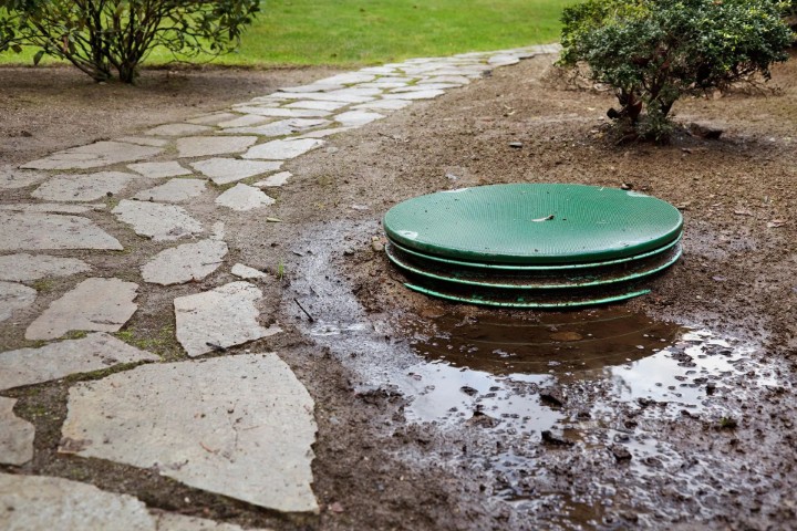 Sewage Cleanup