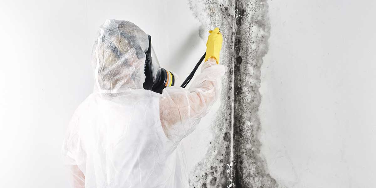 A professional wearing protective gear and a respirator treats severe black mold damage on a wall during indoor mold remediation.