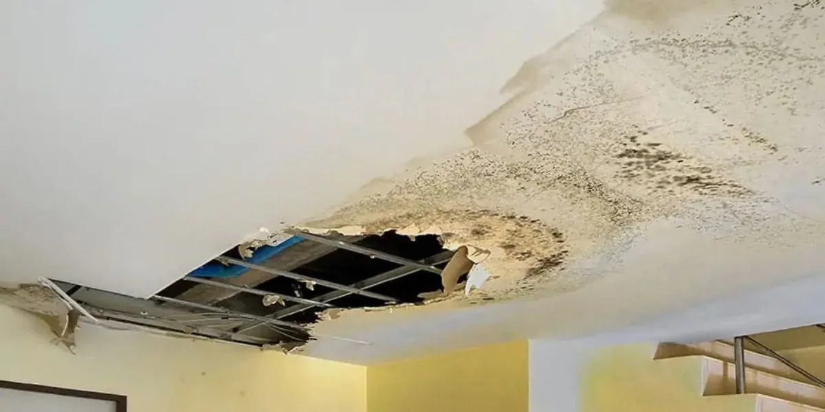 can water damage cause a ceiling to collapse