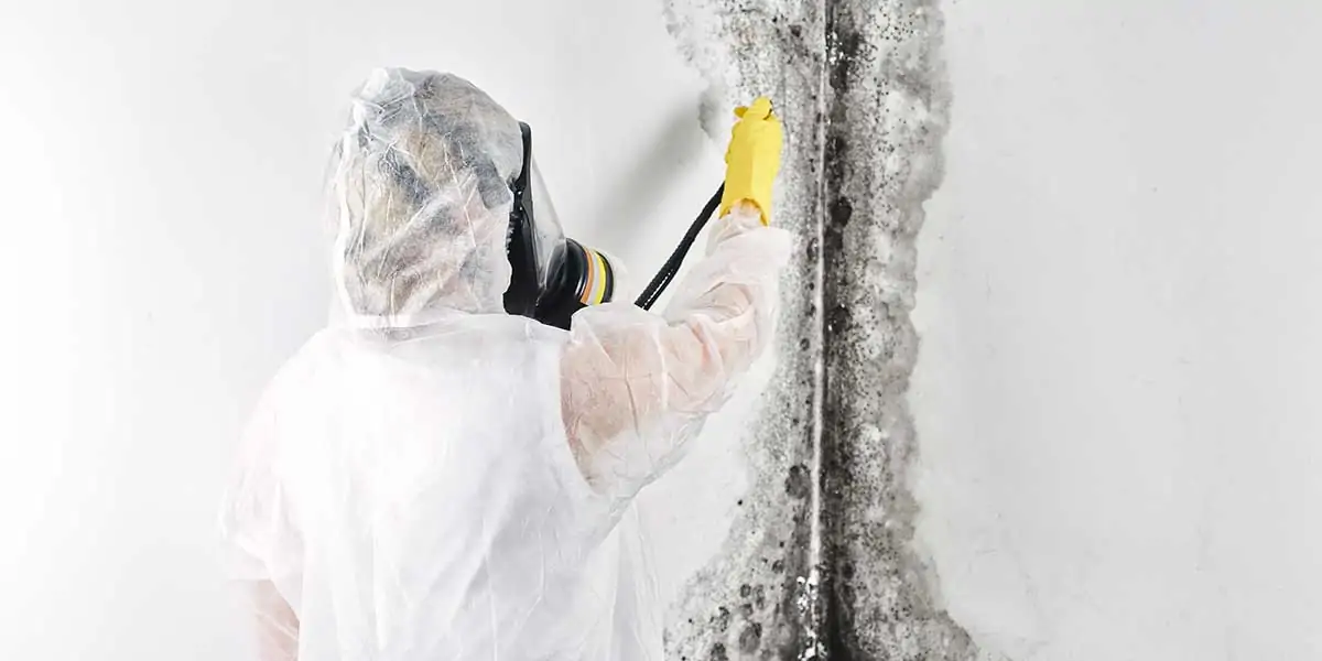 A professional wearing protective gear and a respirator treats severe black mold damage on a wall during indoor mold remediation.